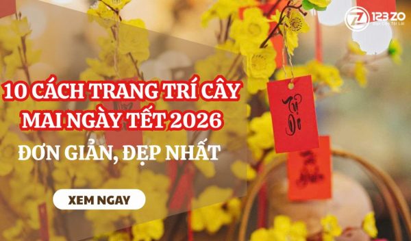 Top 10 cách trang trí cây mai này Tết 2026