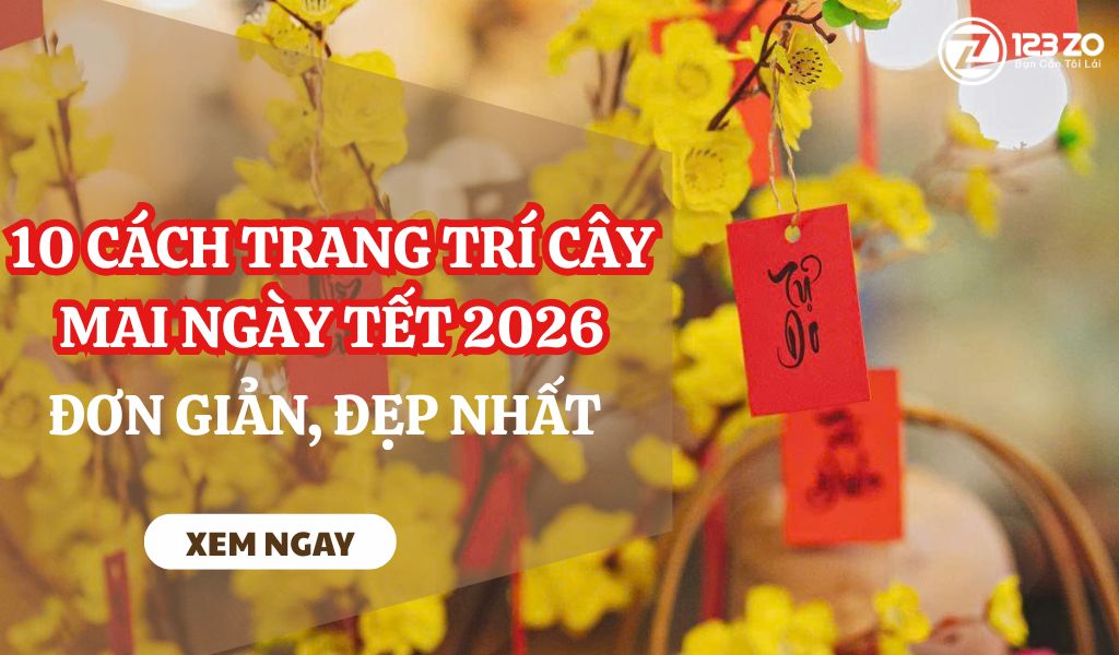 Top 10 cách trang trí cây mai này Tết 2026