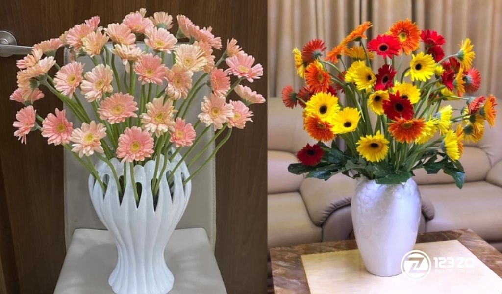 Hướng Dẫn 15 Cách Cắm hoa Ngày Tết Đẹp, Đơn Giản, Ai Cũng Làm Được 6 Hình ảnh hai bình Hoa Đồng Tiền tông hồng nhạt và đa sắc rực rỡ. Hướng dẫn cách cắm hoa ngày Tết với hoa đồng.