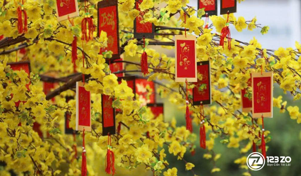 Cách trang trí cây mai ngày Tết với bao lì xì