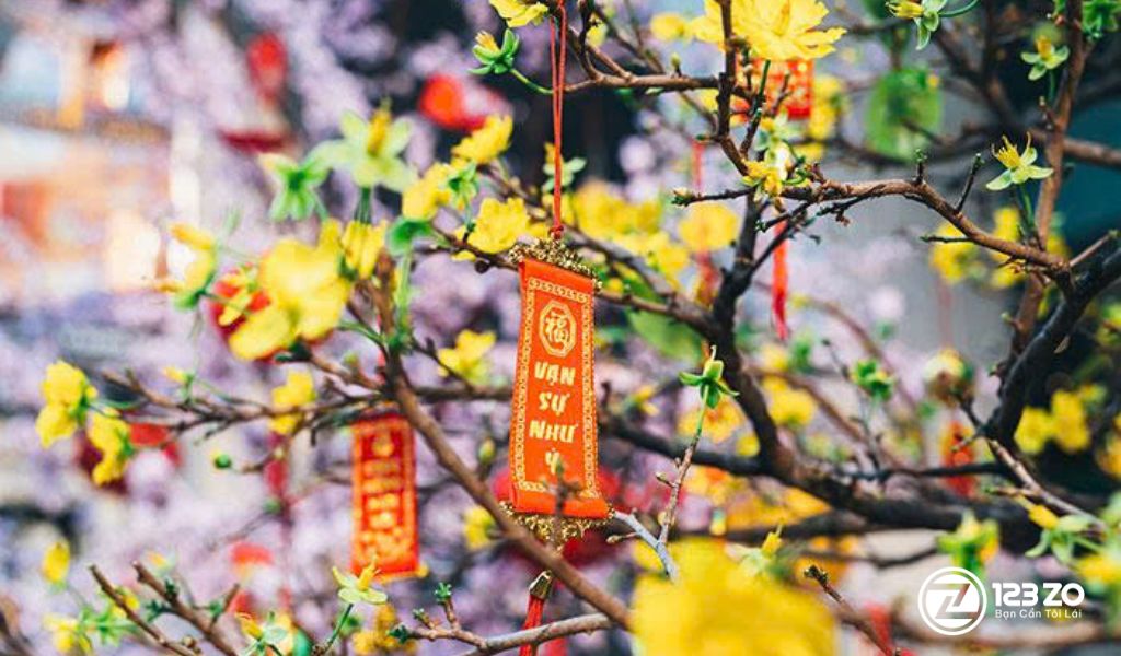 Trang trí cây mai ngày Tết với câu đối đỏ