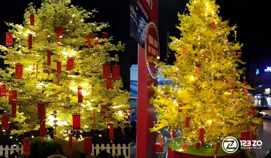 Trang trí cây mai ngày Tết với dây đèn LED